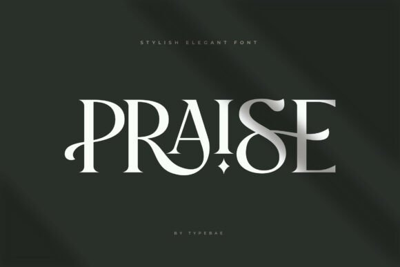 Praise: Crafting a Brand Identity with Elegant Typography